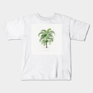 4 Les Palmiers Histoire Kids T-Shirt